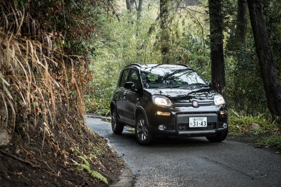  Fiat Panda 4x4 Foresta (319) 2018 года  (JP) (фото 6 из 14)